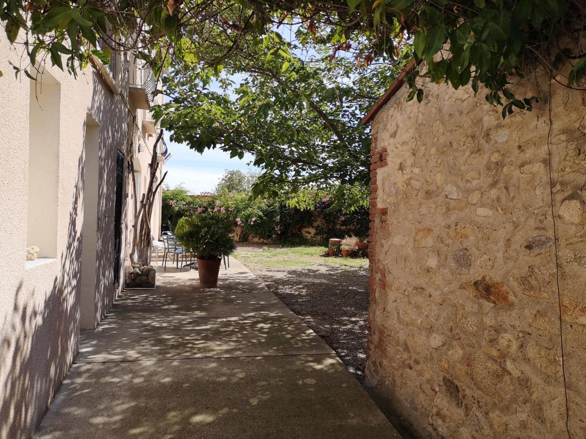 Mas Paret Studio Plein Sud - Parc 1 Ha Au Calme Argelès-sur-Mer Eksteriør bilde