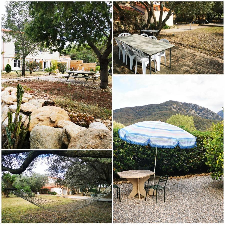 Mas Paret Studio Plein Sud - Parc 1 Ha Au Calme Argelès-sur-Mer Eksteriør bilde
